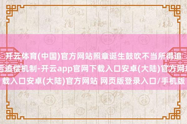 开云体育(中国)官方网站照章诞生鼓吹不当所得追回轨制和风险遭殃过后追偿机制-开云app官网下载入口安卓(大陆)官方网站 网页版登录入口/手机版